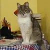 Отзыв от Альфия Столярова